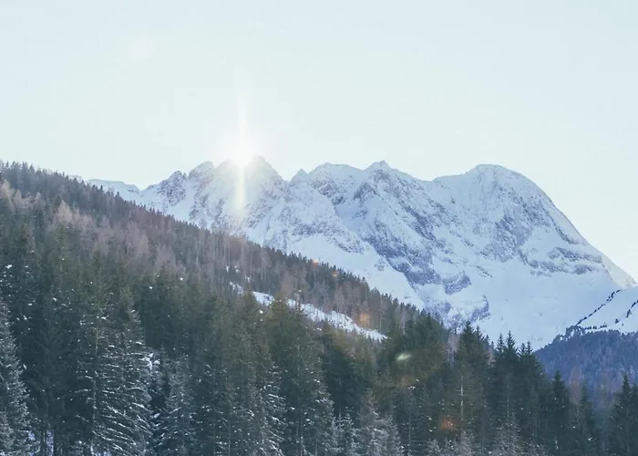 - Boutique 겔로스